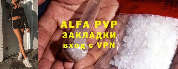 сатива Зерноград