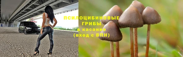 соль ск Зеленодольск