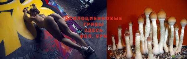 экстази Заводоуковск