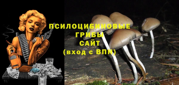 экстази Заводоуковск