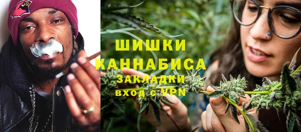 сатива Зерноград