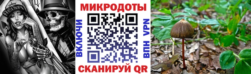 Псилоцибиновые грибы Magic Shrooms  Купить где  Верхнеуральск 